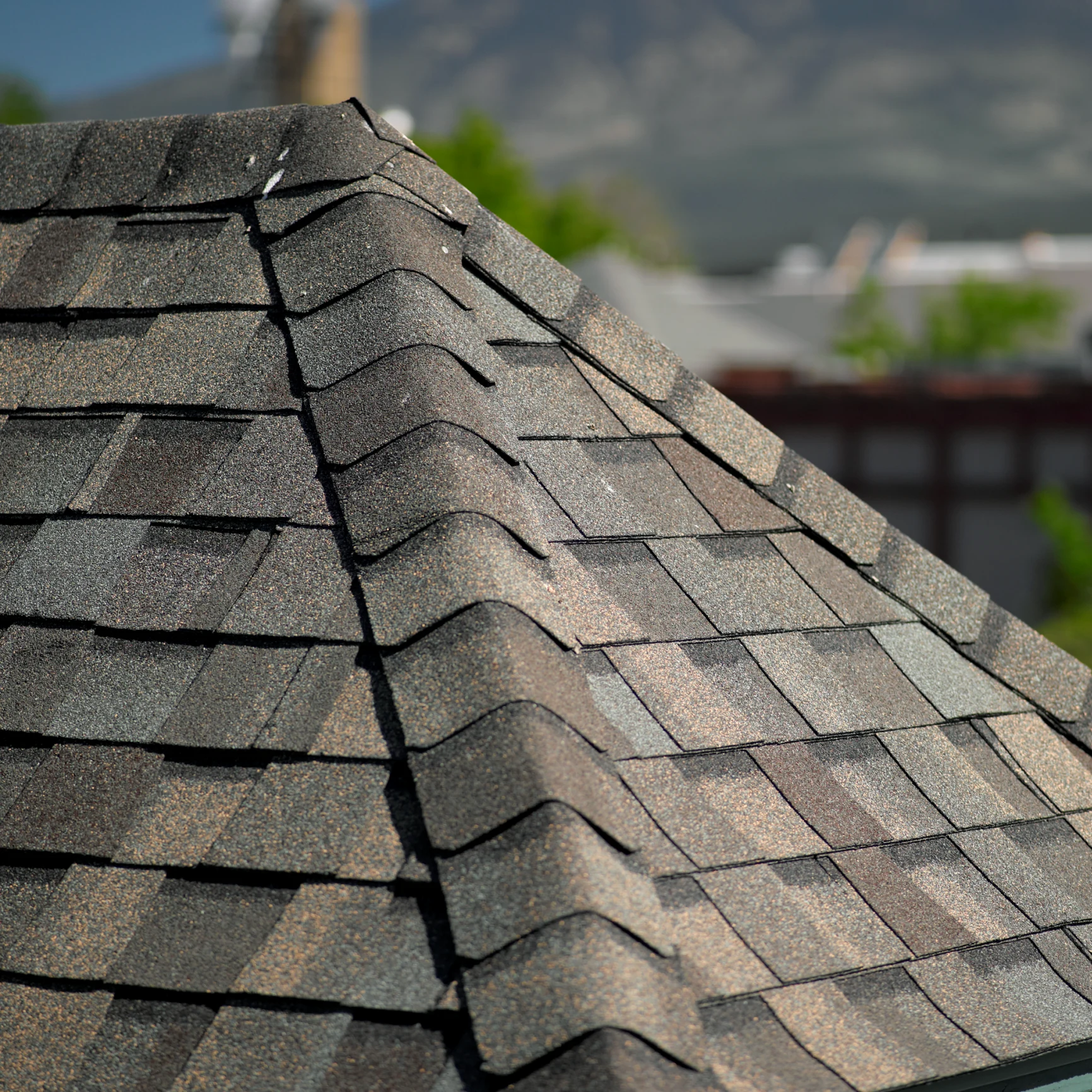Shingle
